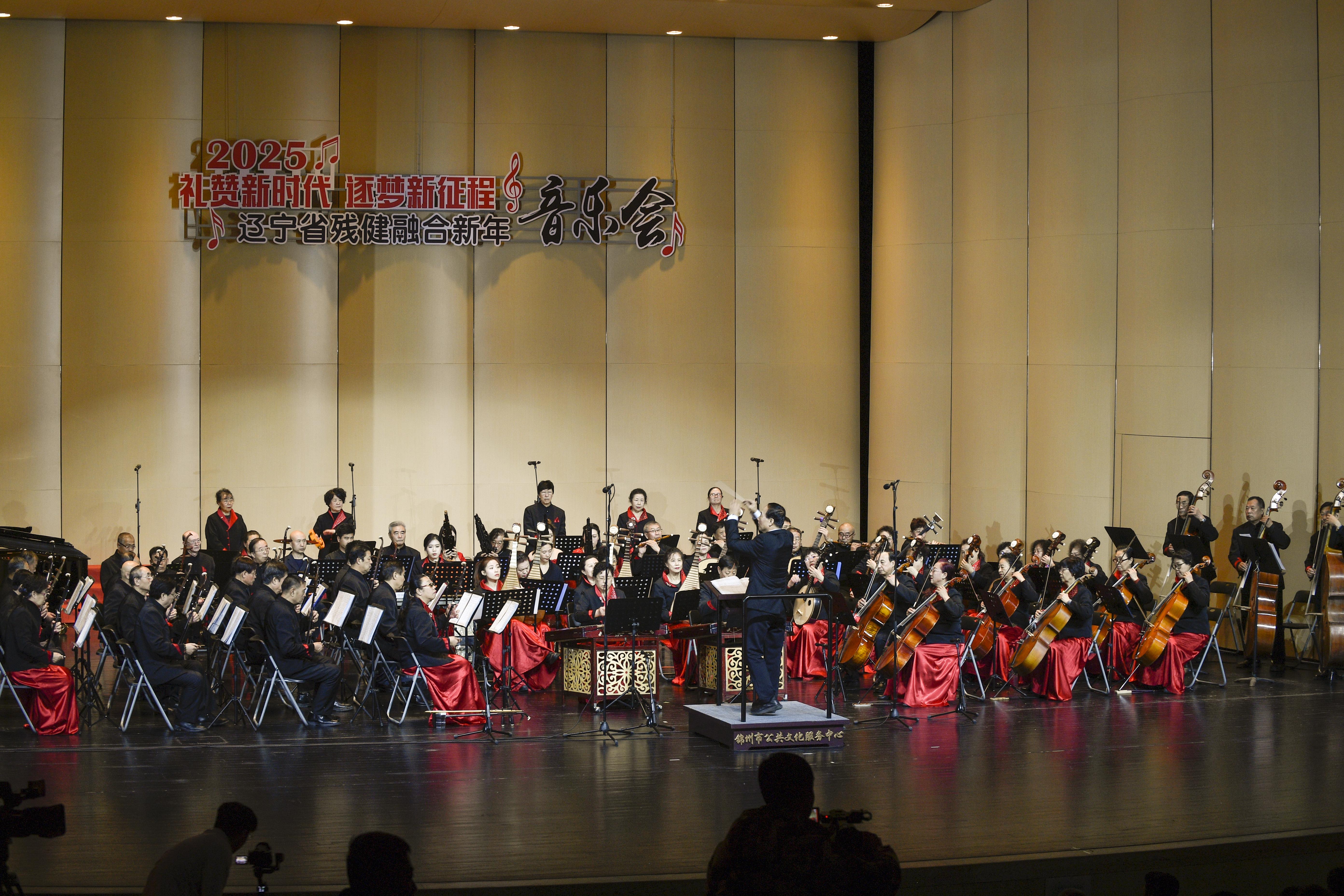 图为新年音乐会演出现场